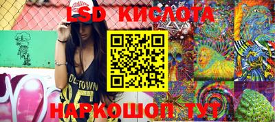 крисы Моздок