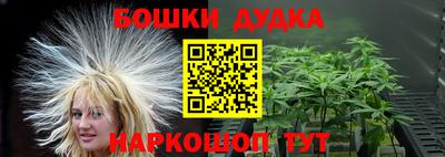 крисы Моздок