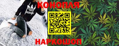 крисы Моздок