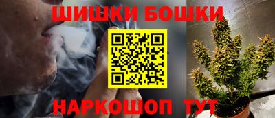 крисы Моздок