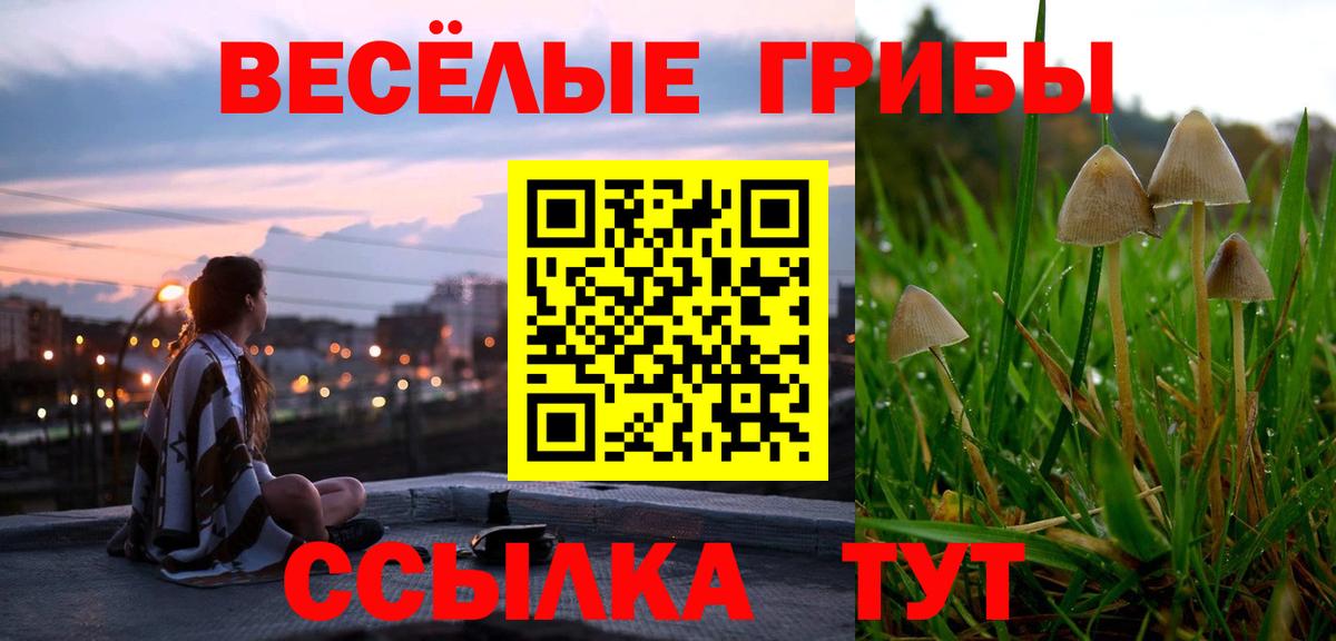 Псилоцибиновые грибы MAGIC MUSHROOMS Шарыпово